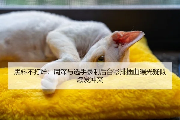 黑料不打烊：周深与选手录制后台彩排插曲曝光疑似爆发冲突